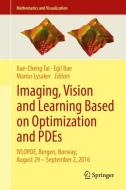 Imaging, Vision and Learning Based on Optimization and PDEs edito da Springer-Verlag GmbH