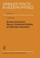 Surface Enhanced Raman Vibrational Studies at Solid Gas Interfaces di I. Pockrand edito da Springer Berlin Heidelberg