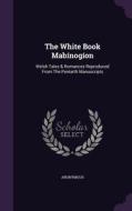 The White Book Mabinogion di Anonymous edito da Palala Press