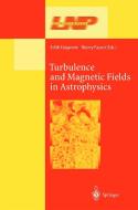 Turbulence and Magnetic Fields in Astrophysics di E. Falgarone, T. Passot edito da Springer Berlin Heidelberg