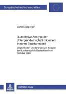Quantitative Analyse der Untergrundwirtschaft mit einem linearen Strukturmodell di Martin Eiglsperger edito da Lang, Peter GmbH