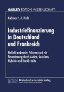 Industriefinanzierung in Deutschland und Frankreich edito da Deutscher Universitätsverlag