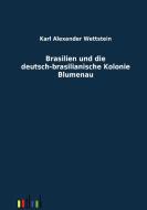 Brasilien und die deutsch-brasilianische Kolonie Blumenau di Karl Alexander Wettstein edito da Outlook Verlag