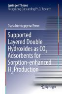 Supported Layered Double Hydroxides as CO2 Adsorbents for Sorption-enhanced H2 Production di Diana Iruretagoyena Ferrer edito da Springer International Publishing