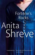 Fortune's Rocks di Anita Shreve edito da Little, Brown Book Group