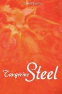 Tangerine Steel: A Life Story di David Evans edito da Createspace