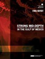 Strong Mid-Depth Currents and a Deep Cyclonic Gyre in the Gulf of Mexico di U. S. Department of the Interior Mineral edito da Createspace