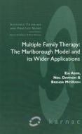 Multiple Family Therapy di Eia Asen edito da Taylor & Francis Ltd