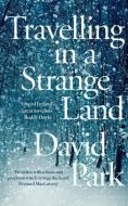 Travelling in a Strange Land di David Park edito da Bloomsbury Publishing PLC