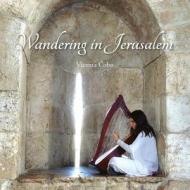 Wandering in Jerusalem di Vicenta Cobo Heras edito da Createspace