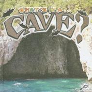 Cave di Tracy Nelson Maurer edito da Rourke Publishing (FL)