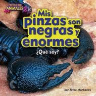 MIS Pinzas Son Negras y Enormes (Scorpion) di Joyce L. Markovics edito da BEARPORT PUB CO INC