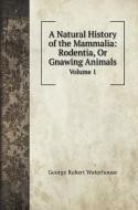 A Natural History of the Mammalia di George Robert Waterhouse edito da Book on Demand Ltd.
