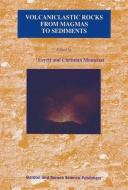 Volcaniclastic Rocks, from Magmas to Sediments di H. Leyrit edito da CRC Press
