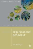 Mastering Organisational Behaviour di Richard Pettinger edito da SPRINGER NATURE