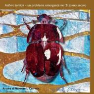 Aethina tumida di Norman L Carreck edito da Northern Bee Books