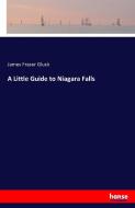 A Little Guide to Niagara Falls di James Fraser Gluck edito da hansebooks