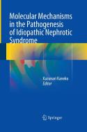 Molecular Mechanisms in the Pathogenesis of Idiopathic Nephrotic Syndrome edito da Springer Japan