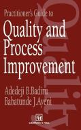 Practitioner's Guide to Quality and Process Improvement di B. J. Ayeni, A. B. Badiru edito da Springer Netherlands