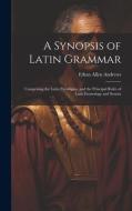 A Synopsis of Latin Grammar: Comprising the Latin Paradigms, and the Principal Rules of Latin Etymology and Syntax di Ethan Allen Andrews edito da LEGARE STREET PR