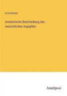 Anatomische Beschreibung des menschlichen Augapfels di Ernst Brücke edito da Anatiposi Verlag