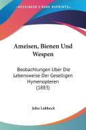 Ameisen, Bienen Und Wespen: Beobachtungen Uber Die Lebensweise Der Geselligen Hymenopteren (1883) di John Lubbock edito da Kessinger Publishing
