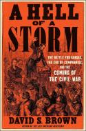 A Hell of a Storm di David S Brown edito da Scribner Book Company