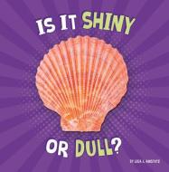 Is It Shiny or Dull? di Lisa J. Amstutz edito da PEBBLE BOOKS