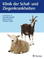Klinik der Schaf- und Ziegenkrankheiten edito da Georg Thieme Verlag