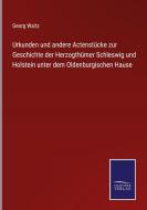 Urkunden und andere Actenstücke zur Geschichte der Herzogthümer Schleswig und Holstein unter dem Oldenburgischen Hause di Georg Waitz edito da Salzwasser-Verlag