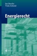 Energierecht: Rechtliche Grundlagen Der Elektrizitats- Und Gaswirtschaft di Jan Busche, Viola Schmid edito da Springer