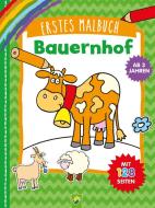 Erstes Malbuch Bauernhof edito da Schwager und Steinlein