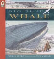 Big Blue Whale Big Book: Read and Wonder di Nicola Davies edito da Candlewick Press (MA)