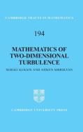 Mathematics of Two-Dimensional Turbulence di Sergei Kuksin edito da Cambridge University Press