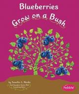 Blueberries Grow on a Bush di Mari C. Schuh edito da CAPSTONE PR