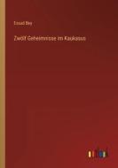 Zwölf Geheimnisse im Kaukasus di Essad Bey edito da Outlook Verlag