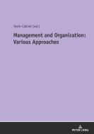 Management and Organization: Various Approaches edito da Peter Lang