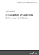 Textualization Of Experience di Pawel Majewski edito da Peter Lang Ag