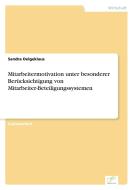 Mitarbeitermotivation unter besonderer Berücksichtigung von Mitarbeiter-Beteiligungssystemen di Sandra Oelgeklaus edito da Diplom.de