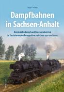 Dampfbahnen in Sachsen-Anhalt di Ingo Thiele edito da Sutton Verlag GmbH