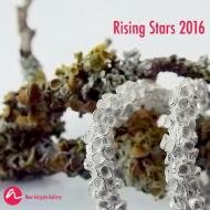 Rising Stars 2016 di New Ashgate Gallery edito da Lulu.com