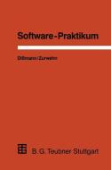 Software-Praktikum di Volker Zurwehn edito da Vieweg+Teubner Verlag
