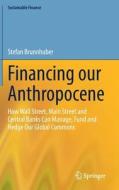 Financing our Anthropocene di Stefan Brunnhuber edito da Springer International Publishing