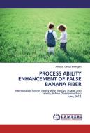 PROCESS ABILITY ENHANCEMENT OF FALSE BANANA FIBER di Alhayat Getu Temesgen edito da LAP Lambert Academic Publishing