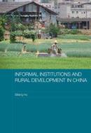 Informal Institutions and Rural Development in China di Biliang Hu edito da Routledge