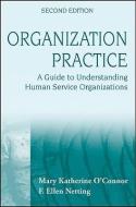 Organization Practice di O& edito da John Wiley & Sons