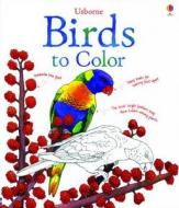 Birds to Color di Megan Cullis edito da Usborne Books