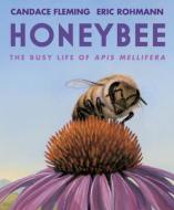 Honeybee: The Busy Life of APIs Mellifera di Candace Fleming edito da NEAL PORTER BOOKS