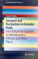 Transport and Fluctuations in Granular Fluids di Andrea Puglisi edito da Springer International Publishing