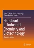 Handbook of Industrial Chemistry and Biotechnology edito da Springer-Verlag GmbH